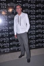 at Ellipsis launch hosted by Arjun Khanna in Mumbai on 6th July 2012 (34).JPG